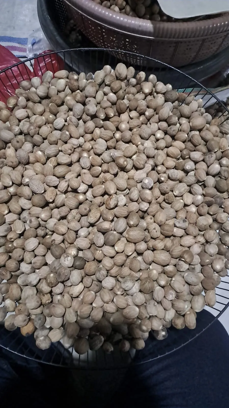 Sun-Dried Perfection