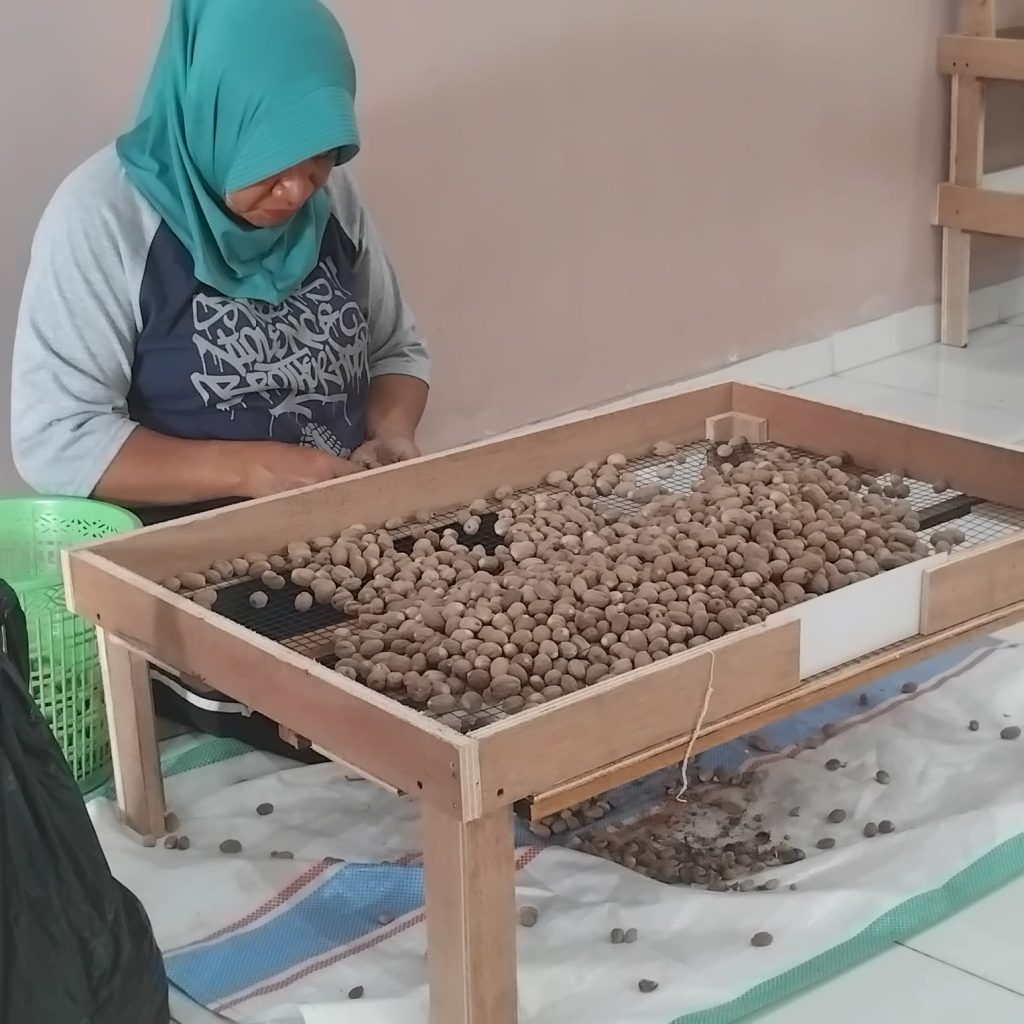 Bhavana Spice direct farm-to-container nutmeg sourcing process in Indonesia