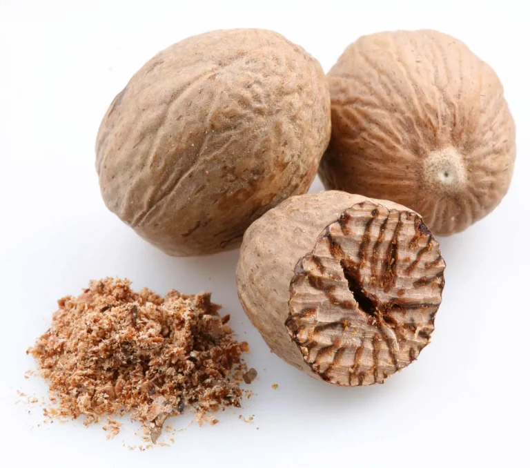 indonesian nutmeg exporter