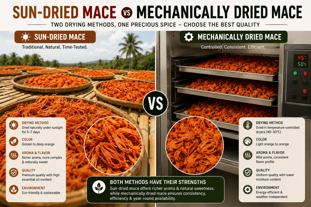 Sun-dried mace on bamboo trays compared to mechanically dried mace in temperature-controlled dryer